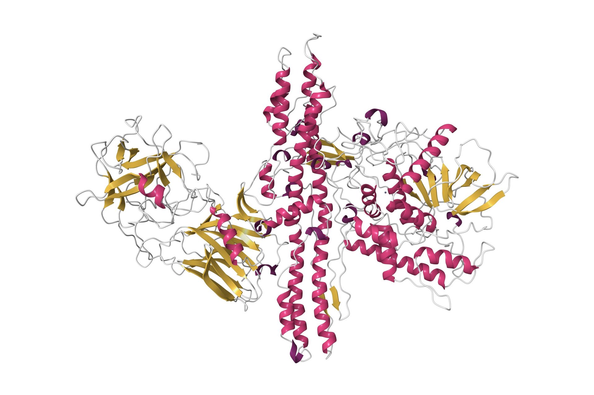 Peptide molecular structure